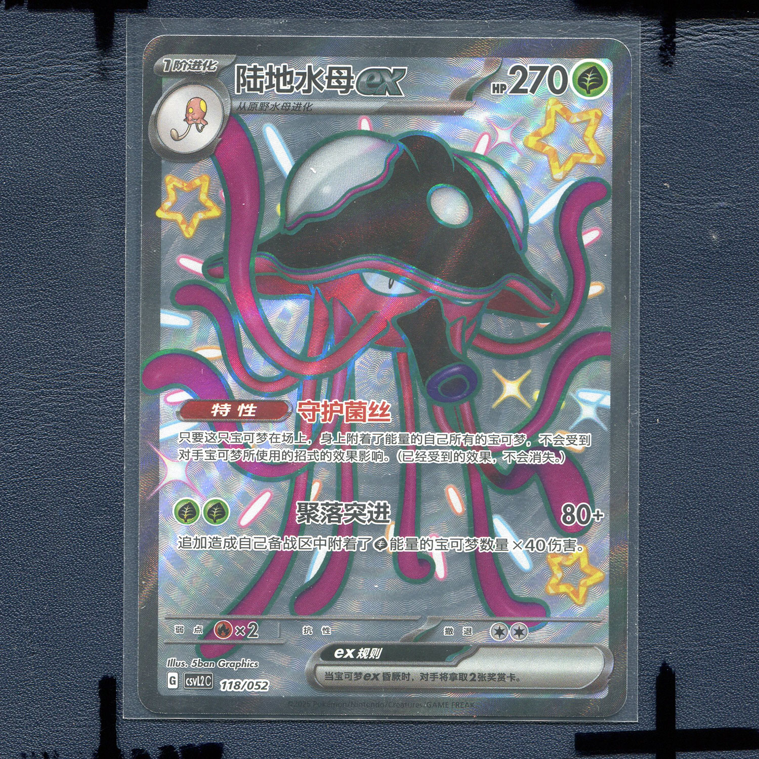 宝可梦 简中正版卡牌 游历专题包 陆地水母EX CSVL2C-118
