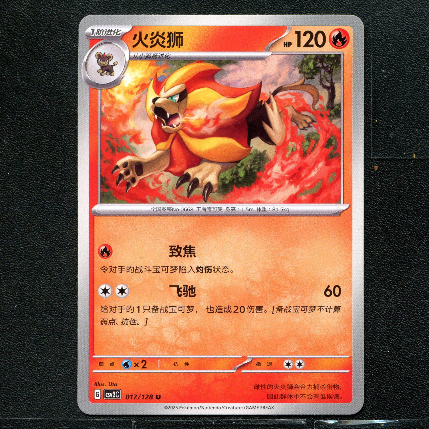 宝可梦TCG 正版卡牌10.0 奇迹启程 火炎狮 CSV2C-017 简中