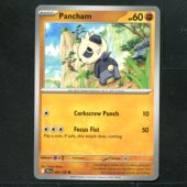 卡牌 英文版 顽皮熊猫 宝可梦 同行之旅 正版 083 JTG TCG 美版