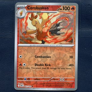 宝可梦 TCG正版卡牌 命运劲敌 力壮鸡 DRI-041 反闪 美版