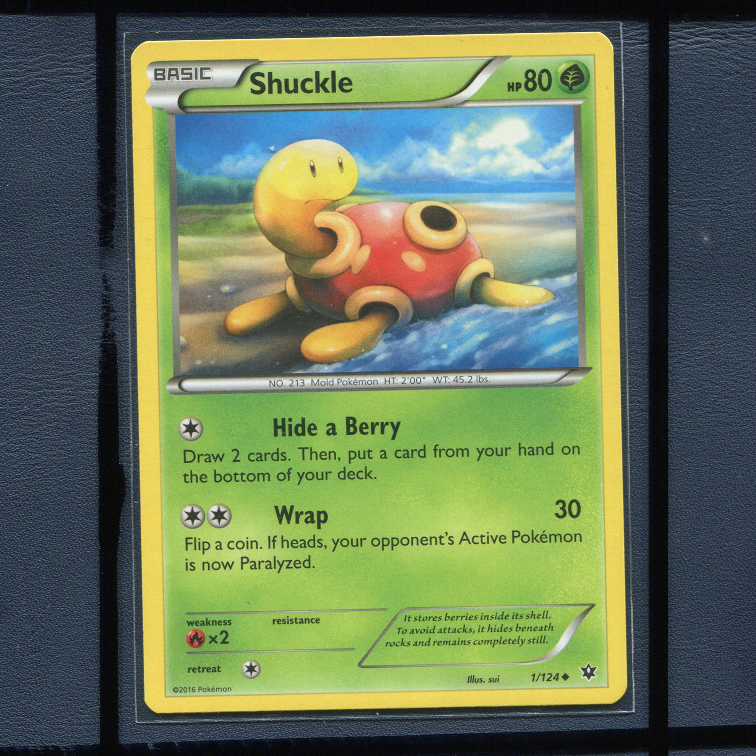 宝可梦卡牌美版英文版国际版 命运交织 壶壶 FCO-1 U SHUCKLE
