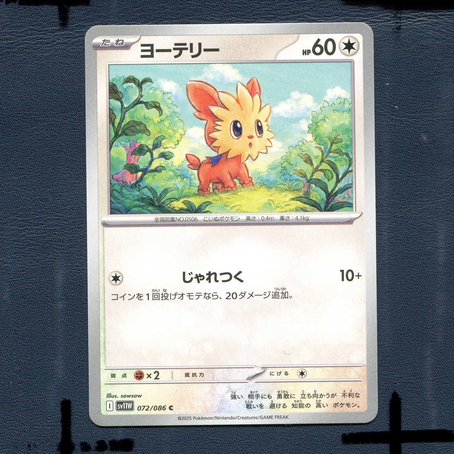 宝可梦PTCG正版卡牌 纯白闪焰 小约克 SV11W-072 日版