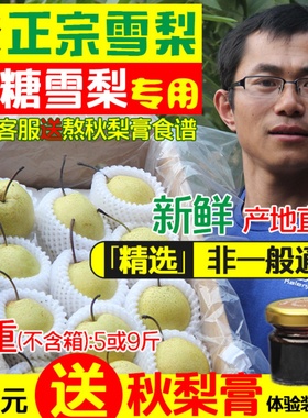 正宗雪梨河北赵县赵州雪花梨5斤新鲜水果烤梨子梨水川贝秋梨膏