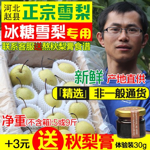 正宗雪梨河北赵县5斤新鲜水果