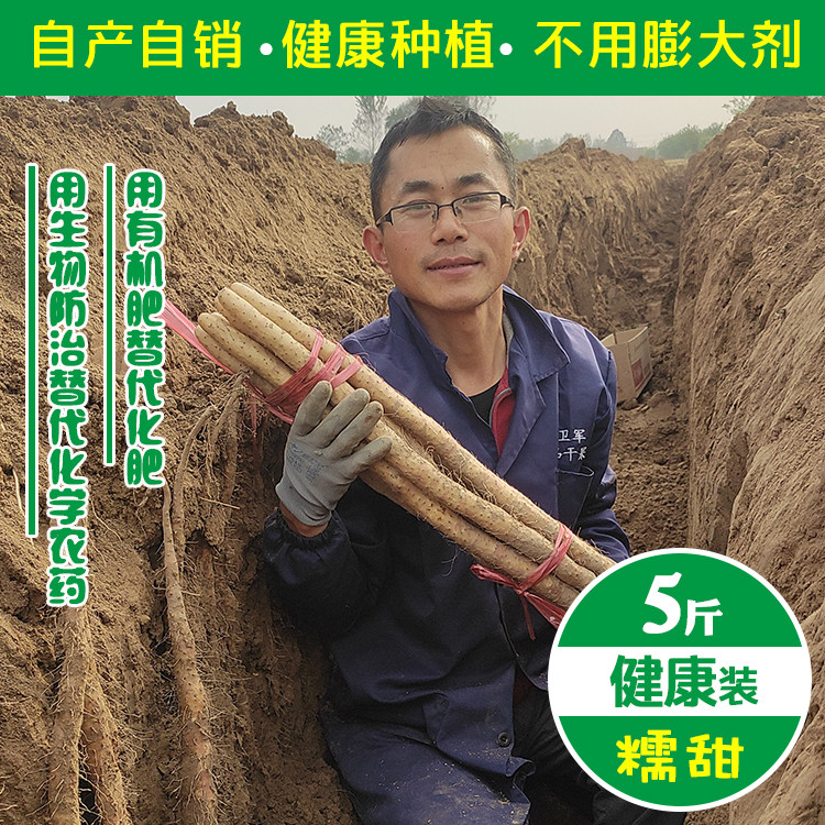 健康种植河北小白嘴山药淮山药怀山药新鲜麻山药非铁棍山药