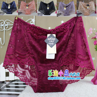 全蕾丝性感网纱女士内裤 珍尚美新款 9853 包邮 3条