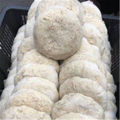 湖北随州土特产新鲜豆渣粑湿豆渣巴霉豆渣吧豆渣饼20个包邮霉渣耙