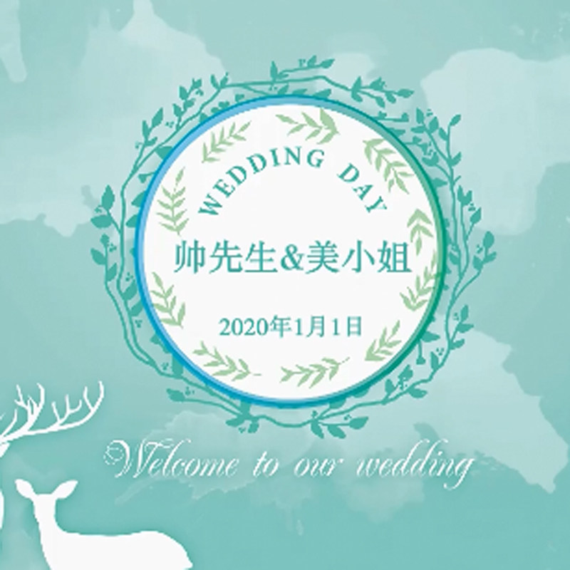 超热门网红快闪视频制作 婚礼婚FLASH/动画制作