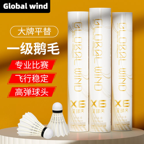 全球风羽毛球平替精彩永恒G6耐打