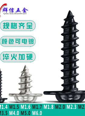 12M4钉1410十字 盖板A  带W垫815 圆头促  P 18尖尾自攻螺丝大i.