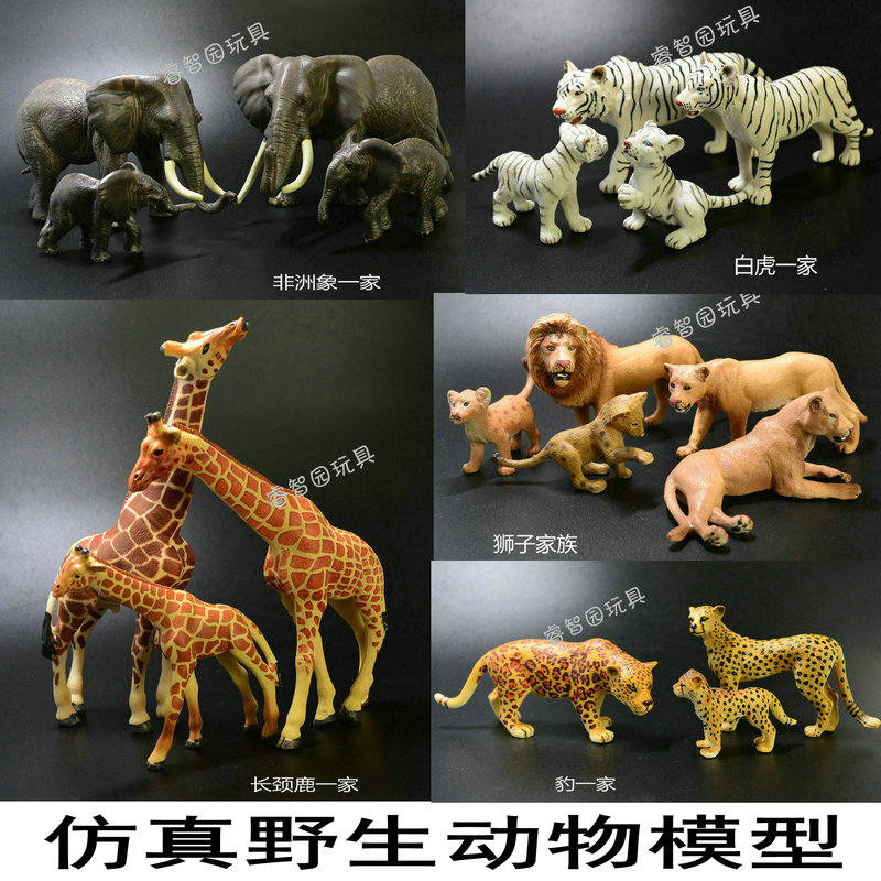 新凯纳野生动物实心塑料仿真模型