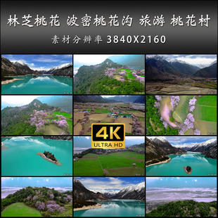 林芝桃花 波密桃花沟 旅游 桃花村 桃花节 高清 实拍 4K 视频素材