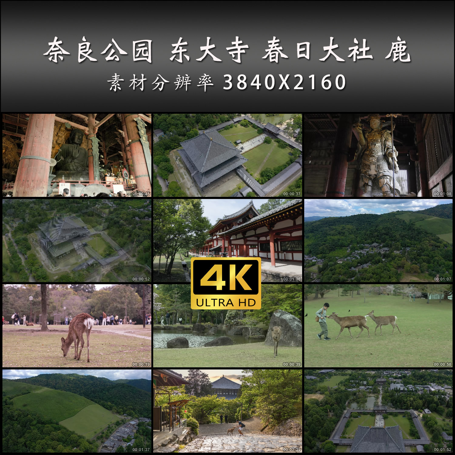奈良公园 东大寺 春日大社 鹿 日本旅游 高清 实拍 4K 视频素材