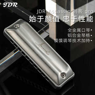 JDR嘉德瑞10孔布鲁斯口琴刺客PRO成人初学入门专业演奏级Assassin