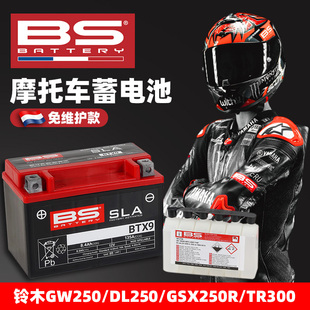 适用豪爵铃木GW250 DL250 GSX250R法国BS免维护电瓶摩托车蓄电池