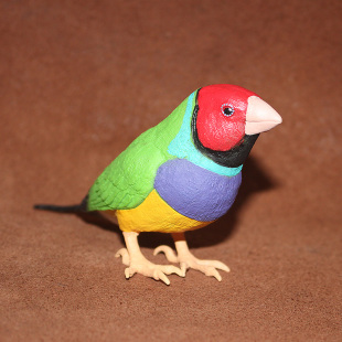 钩吻雀 safari 小鸟 飞鸟 鹦鹉 仿真模型玩具场景摆件