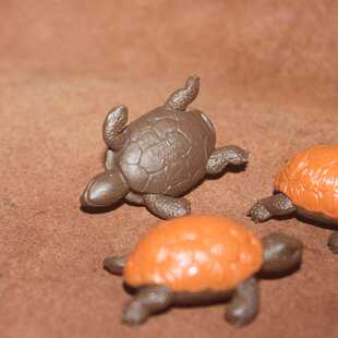 乌龟幼崽 小乌龟 safari正品 仿真动物模型塑胶玩具场景摆件