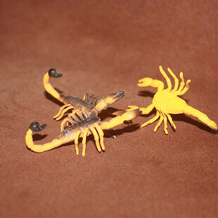 safari 黑蝎子 仿真昆虫模型玩具场景摆件