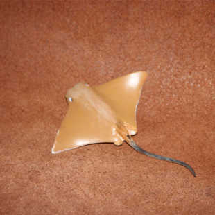 微拍场景摆件 牛鼻魟 safari仿真海洋动物模型玩具 鳐鱼魟鱼