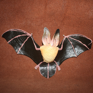 大耳蝙蝠 散货野生动物模型玩具摆件 safari 正版