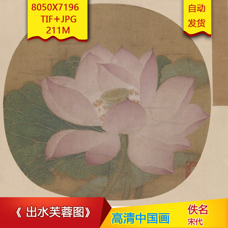 出水芙蓉图宋代佚名国画作品高清国画电子版大图装饰画临摹画素材