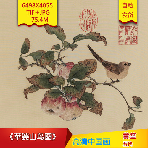 《苹婆山鸟图》五代黄筌作品高清国画电子图片装饰画素材