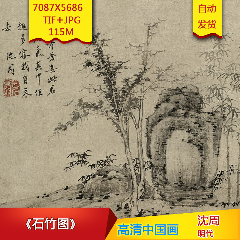 《石竹图》明代沈周作品高清国画电子图片装饰画芯素材