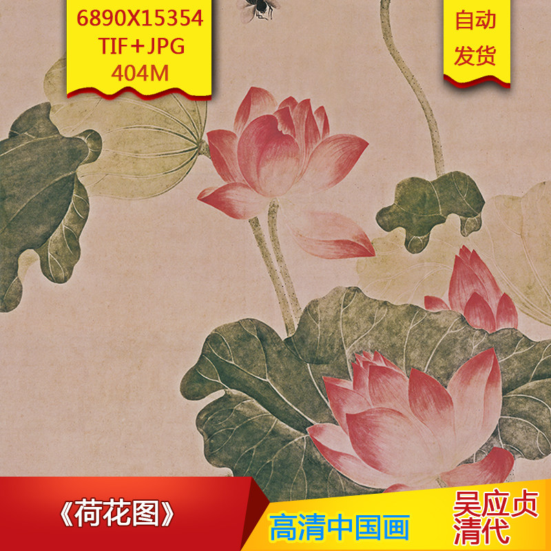 《荷花图》清代吴应贞作品高清国画电子图片装饰画芯素材