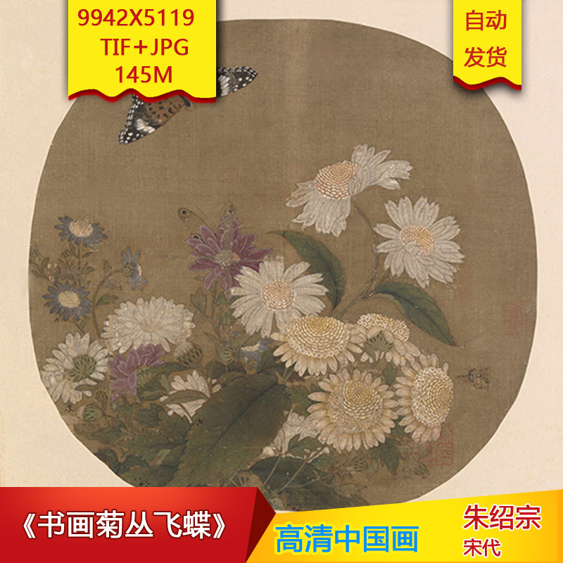 《书画菊丛飞蝶》宋代朱绍宗作品9942x5119像素高清国画