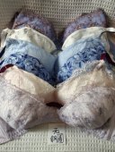 75G日韩内衣文胸无钢圈聚拢刺绣蕾丝多扣无插垫杂款 大码