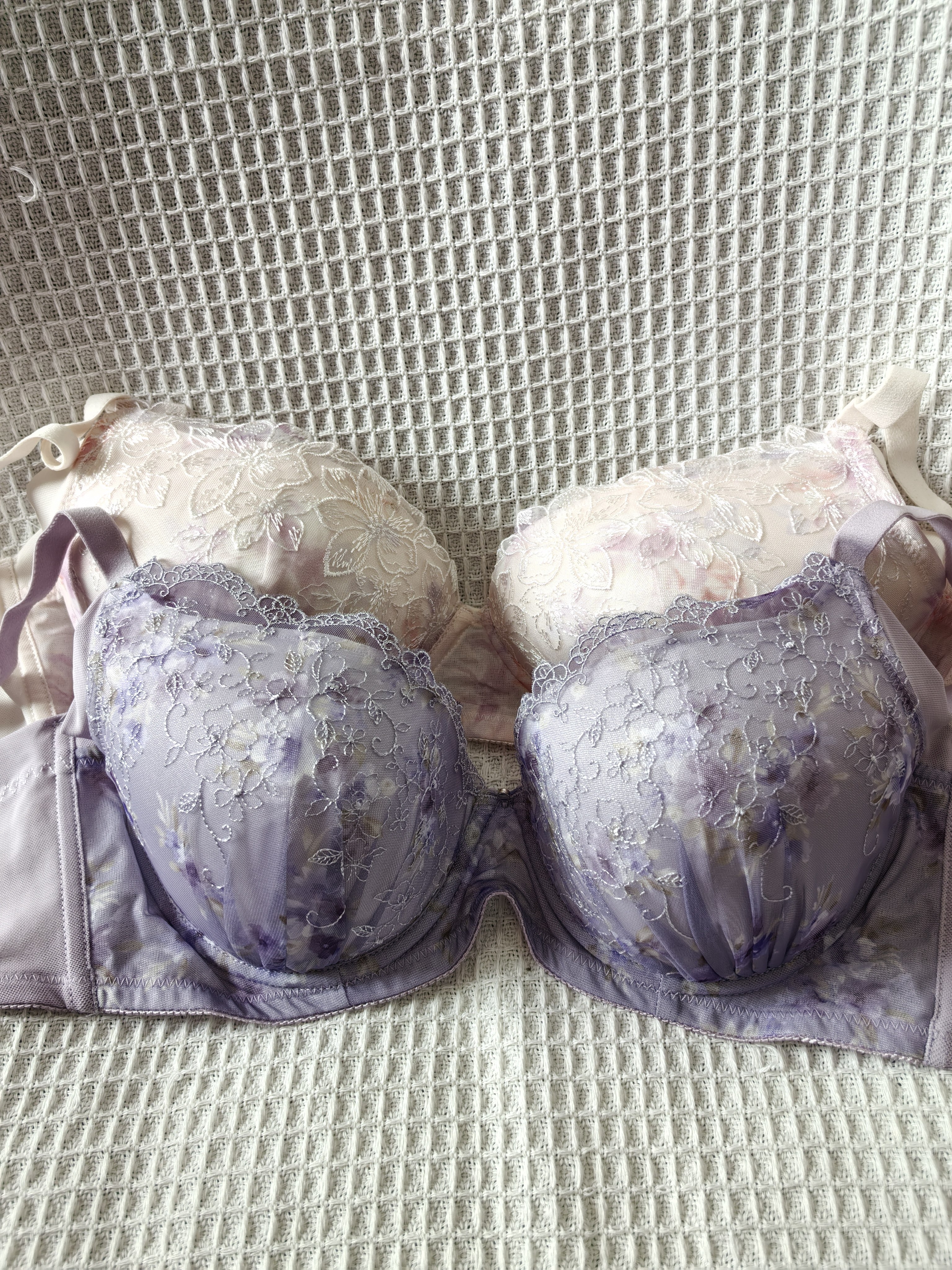 大码36/80C日韩内衣文胸有无钢圈聚拢刺绣蕾丝多扣无插垫杂款