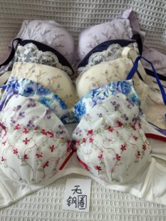 大码32/70E日韩内衣文胸无钢圈聚拢刺绣蕾丝多扣无插垫杂款