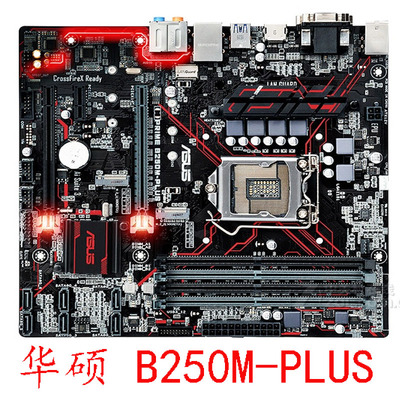 Asus/华硕PRIMEB250M-J1151