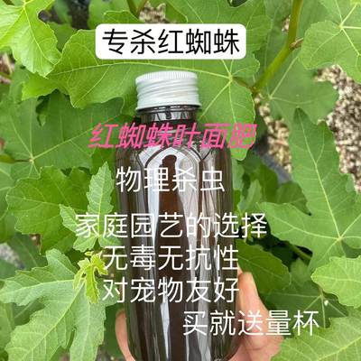 叶面肥果树专用喷施预防红蜘蛛