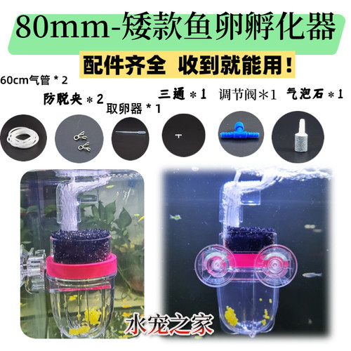 80mm矮款鱼卵孵化器三湖慈鲷鱼卵胡子大帆异型卵生鱼苗鱼繁殖窝桶