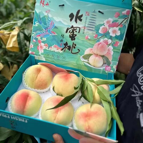 桃王正宗无锡阳山水蜜桃水果8两-1斤6个大桃子新鲜桃甜礼盒装
