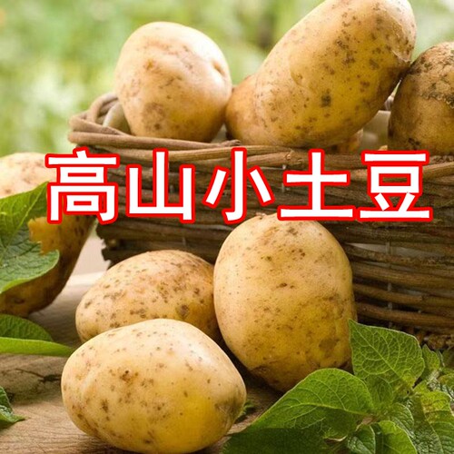 大自然的味道小时候的味道