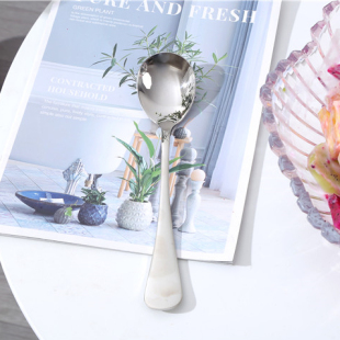 医用不锈钢 E27 自留推荐 好品质 加厚圆润汤勺饭勺 意大利DAN