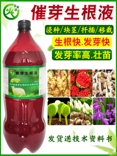 益富源催芽生根剂粉重楼黄精种子生姜催芽剂白芨育苗营养液快石斛