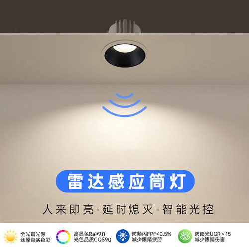 入户玄关主灯深防眩窄边