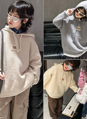 大E小e童装秋冬新款儿童连帽针织毛衣男女中大童套头衫26615