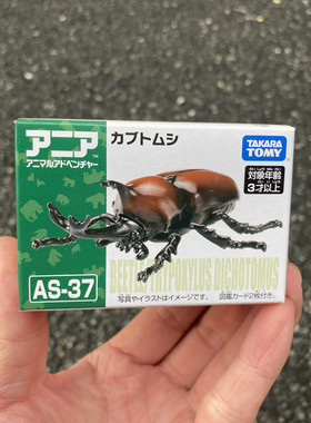 昆虫手办摆件as37独角仙
