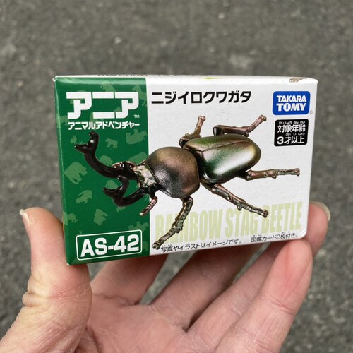 AS42仿真甲壳虫玩具双角甲虫