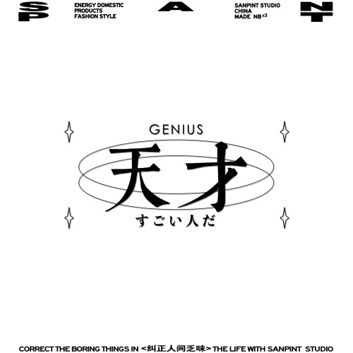 天才~重磅纯棉设计师体恤