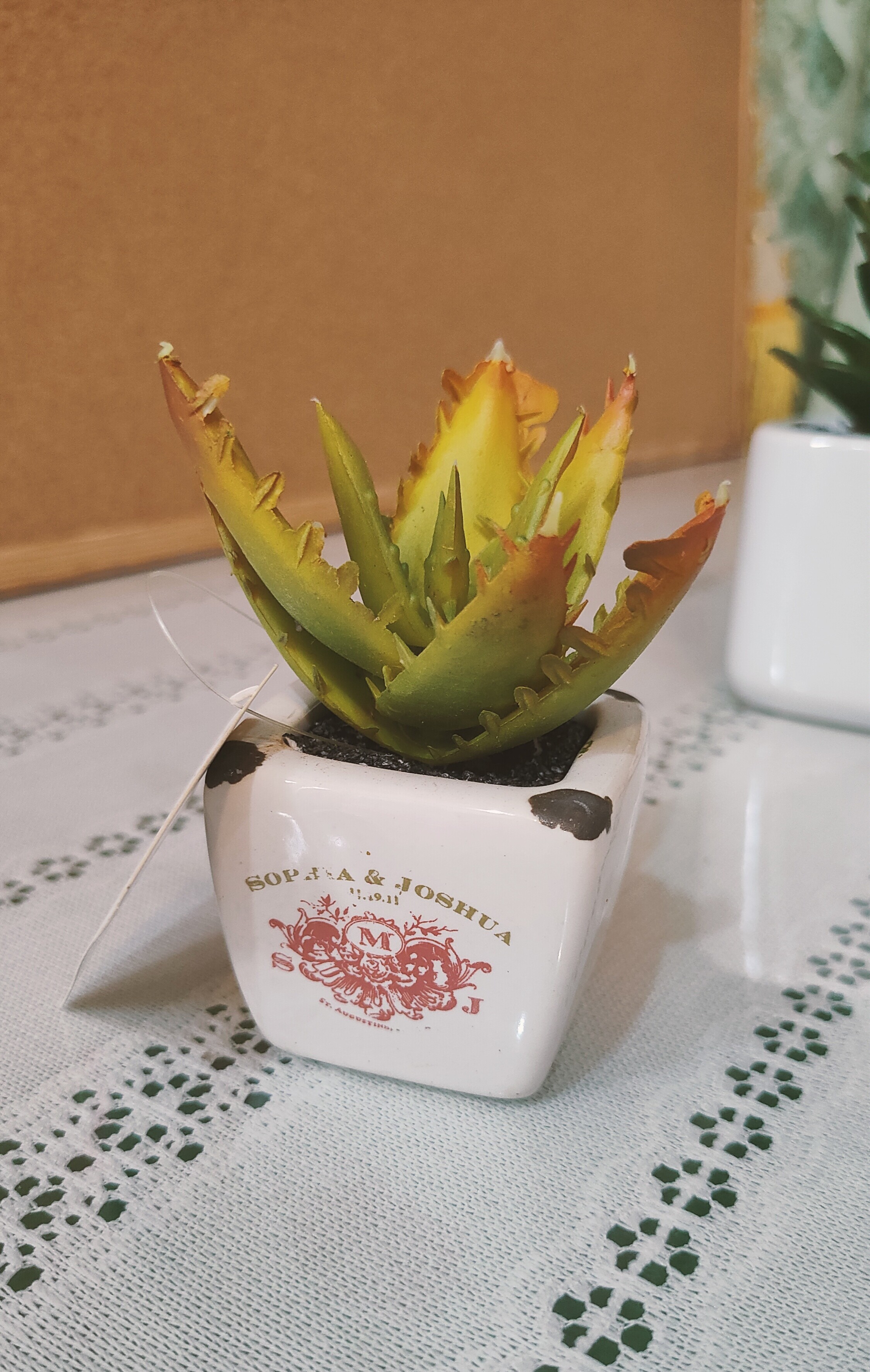 仿真多肉仙人掌塑料植物盆栽桌面摆件仿生绿植多肉小盆景