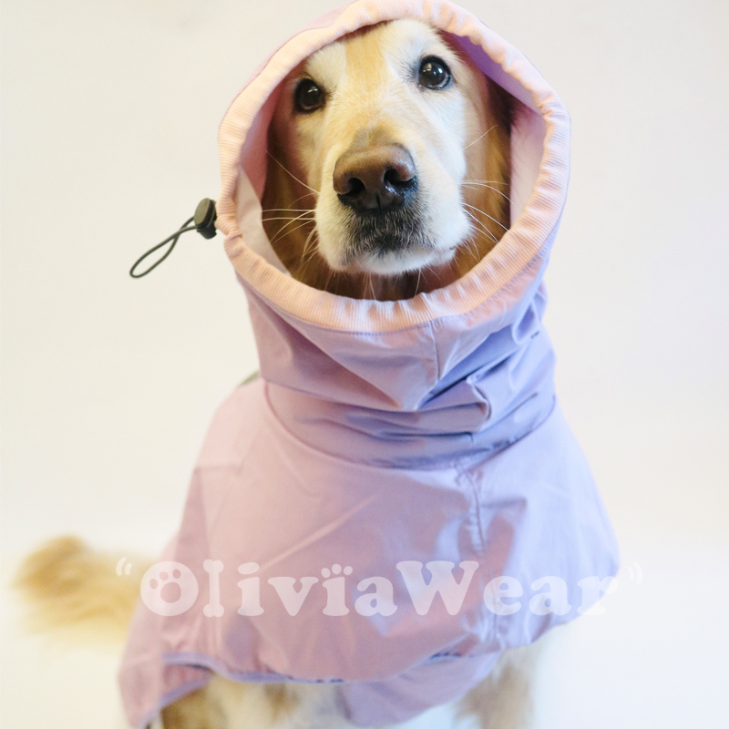 狗狗大型犬防水宠物雨衣