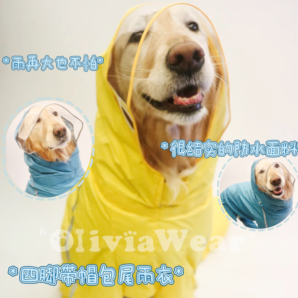 款式分男女 新品金毛阿拉斯加大狗四脚防水宠物雨衣包尾巴防大雨