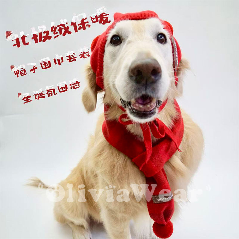 秋冬氛围感小红帽 新品金毛大型犬圣诞春节装饰保暖宠物帽子围巾,宠物/宠物食品及用品,帽子,淘宝优惠券,粉丝福利购,淘宝优惠卷