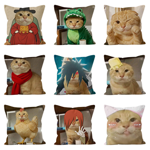 耄耋哈基咪圆头耄耋哈基仙可爱卡通猫创意双面抱枕靠垫礼物