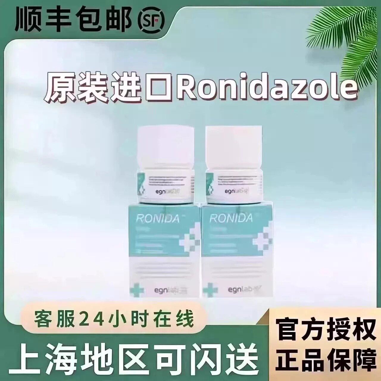 进口Roidzole犬猫罗硝唑罗销锉胶囊